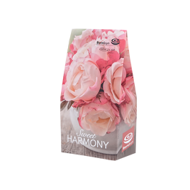 born_syn_bonboniera_striska_sweet_harmony