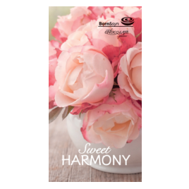 born_syn_sweet_harmony_bonboniera_pralinky