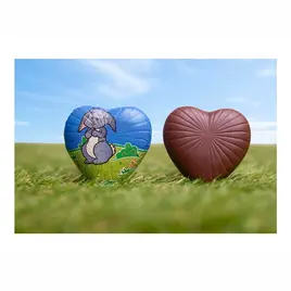 fikar-zajicek-srdicko-mlecne